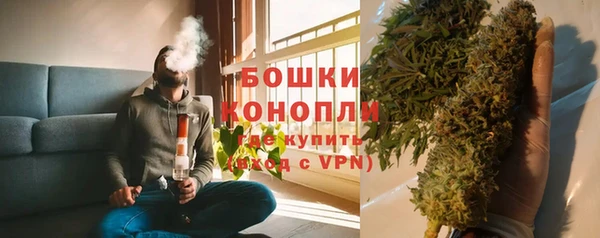 ГАЛЛЮЦИНОГЕННЫЕ ГРИБЫ Алзамай