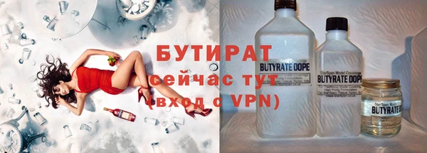 хмурый Аркадак
