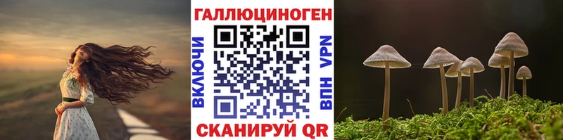 Псилоцибиновые грибы Psilocybe  Суровикино 