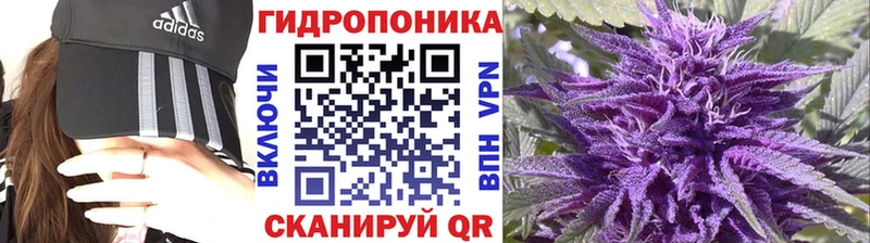 MEGA зеркало  Суровикино  Марихуана сатива 